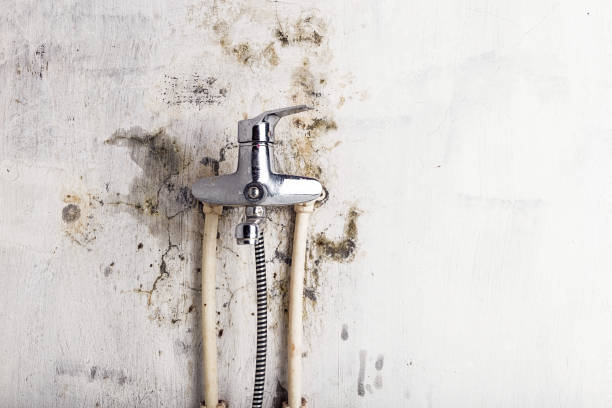 Best Post-Remediation Services in New Hope, AL