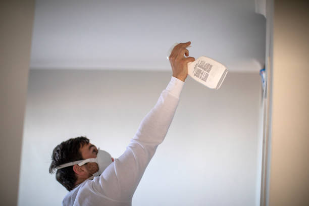 Best Mold Testing and Inspection Services in New Hope, AL